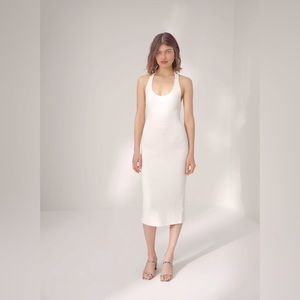 NEW Aritzia Wilfred Dress